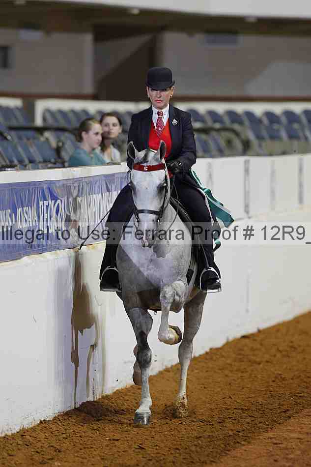 Proof 12r9_2255