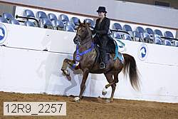 12r9_2257 proof