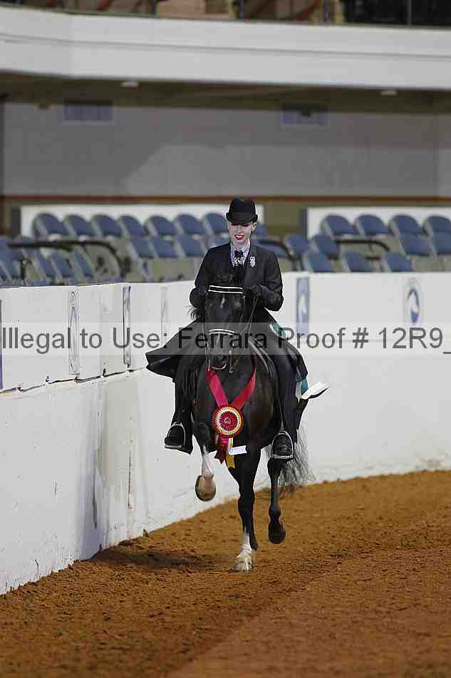 Proof 12r9_2262