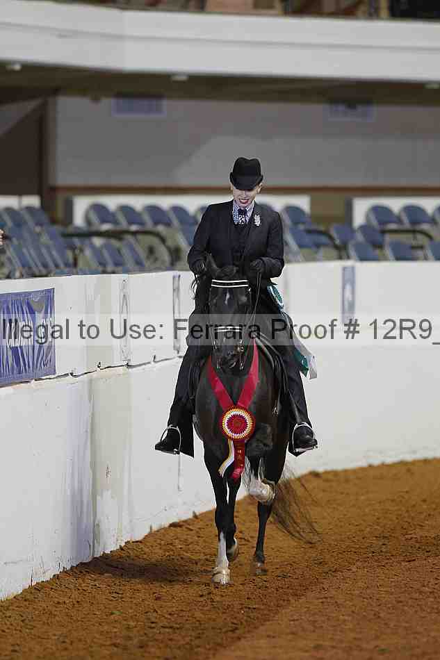 Proof 12r9_2263
