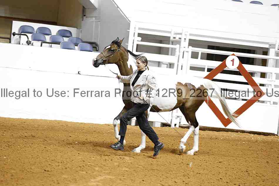 Proof 12r9_2267