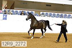 12r9_2272 proof