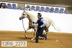 12r9_2273 proof