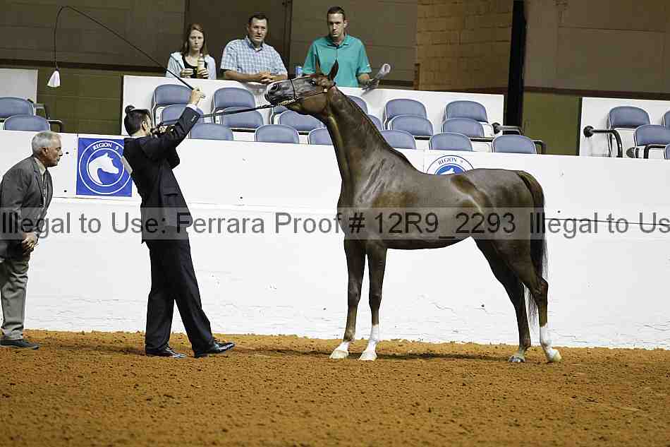Proof 12r9_2293