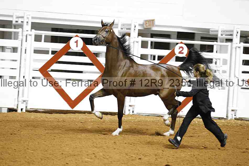 Proof 12r9_2354