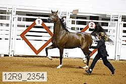 12r9_2354 proof
