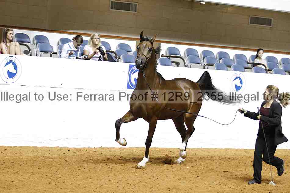 Proof 12r9_2355