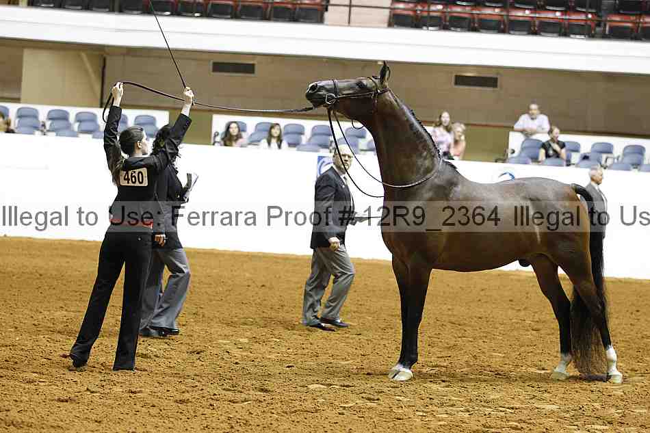 Proof 12r9_2364