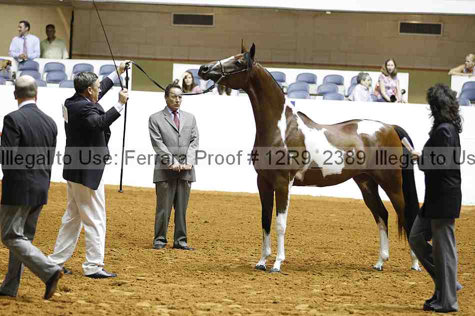 Proof 12r9_2389