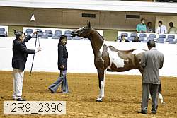 12r9_2390 proof