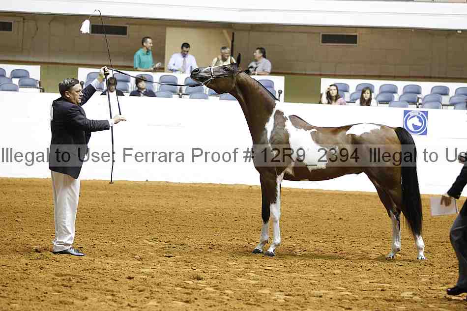 Proof 12r9_2394