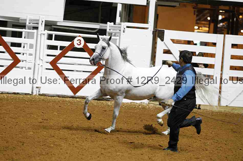Proof 12r9_2429