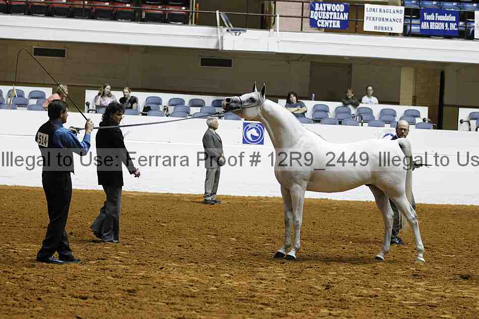 Proof 12r9_2449