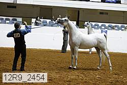 12r9_2454 proof