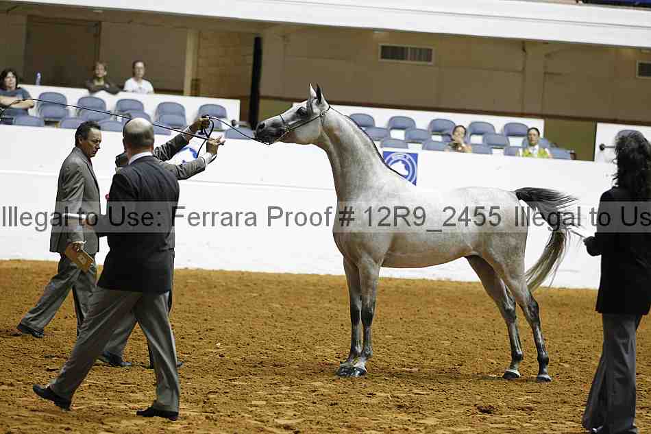 Proof 12r9_2455