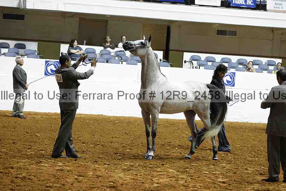 Proof 12r9_2458