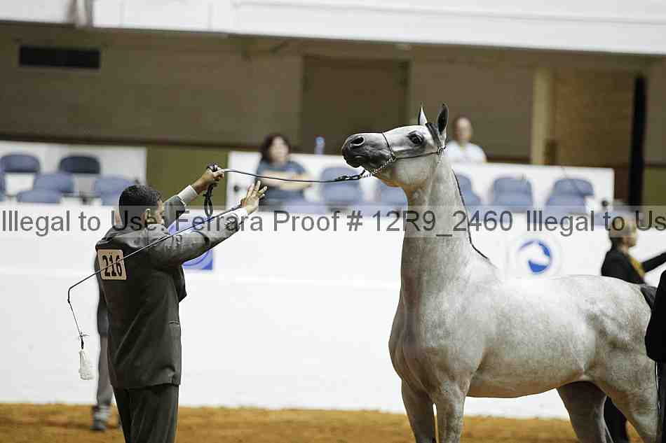 Proof 12r9_2460