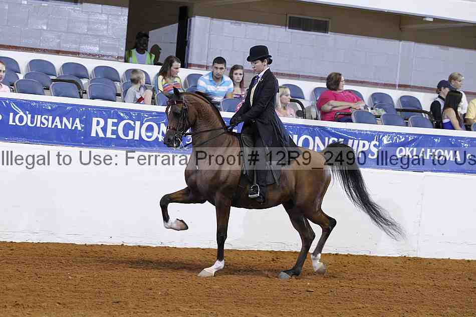 Proof 12r9_2490