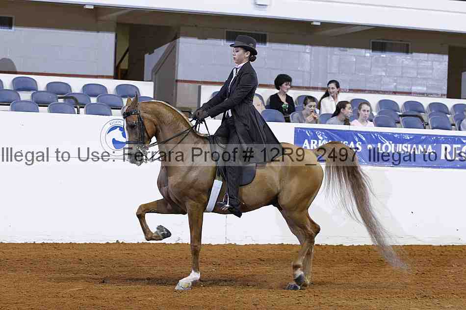 Proof 12r9_2497