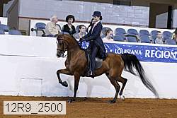 12r9_2500 proof
