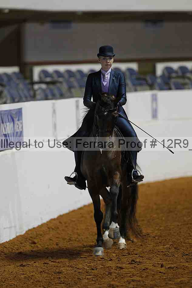 Proof 12r9_2501