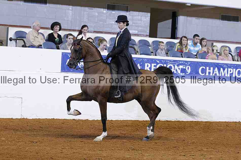 Proof 12r9_2505