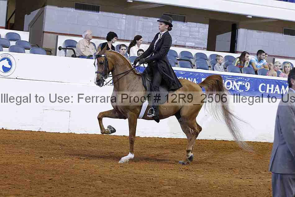 Proof 12r9_2506