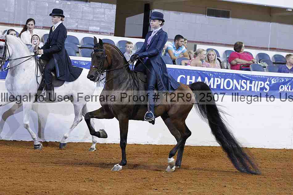 Proof 12r9_2507