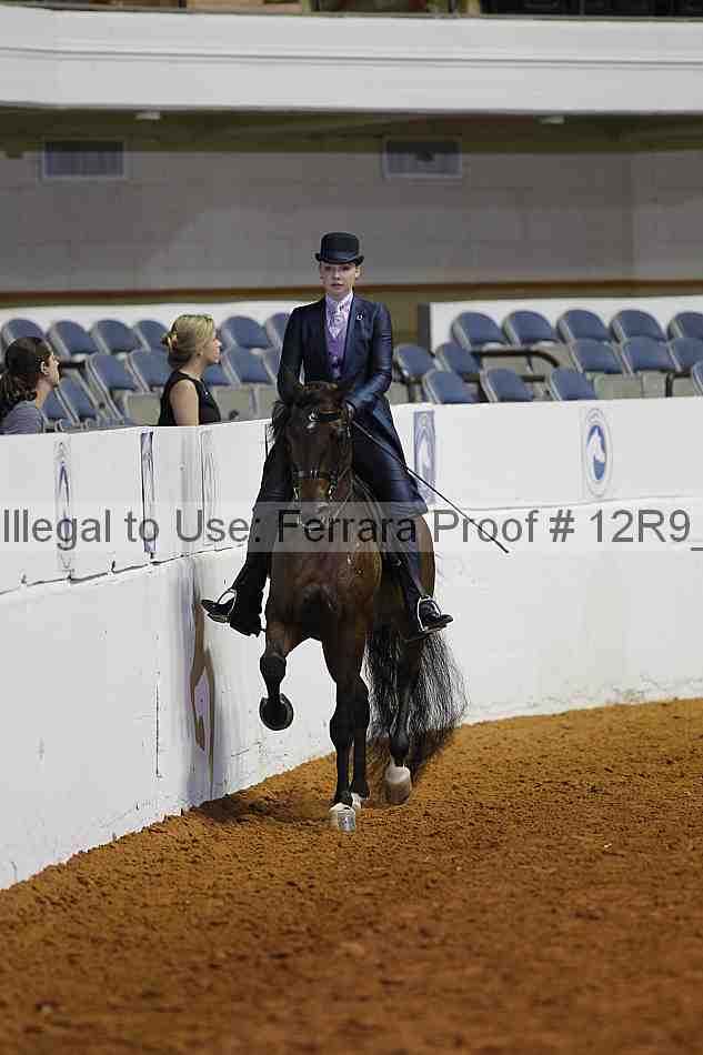 Proof 12r9_2510