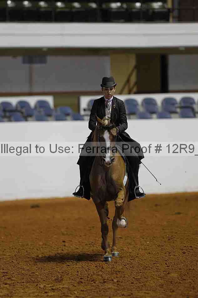 Proof 12r9_2512