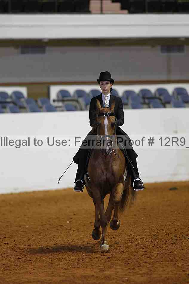 Proof 12r9_2518