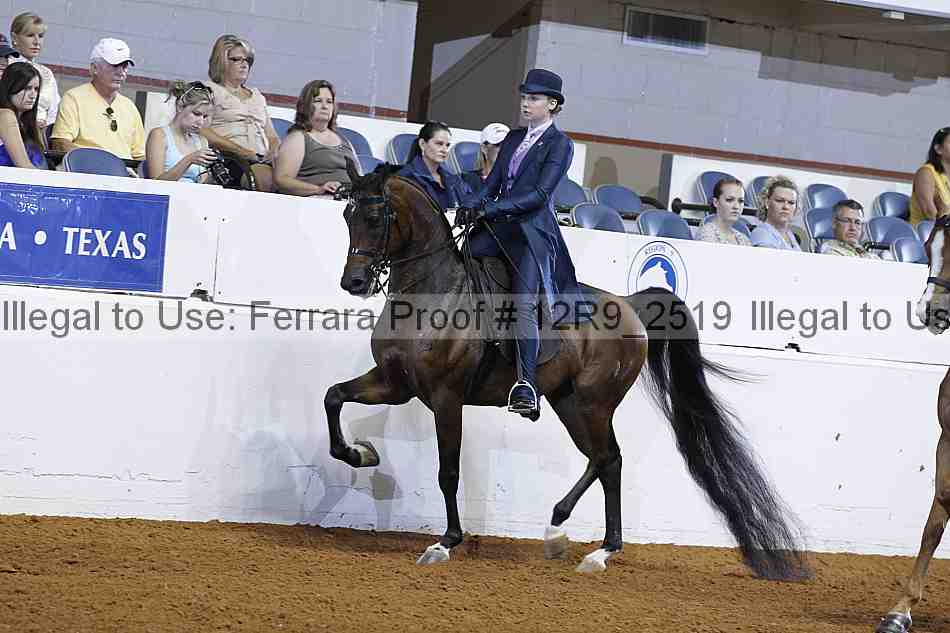 Proof 12r9_2519