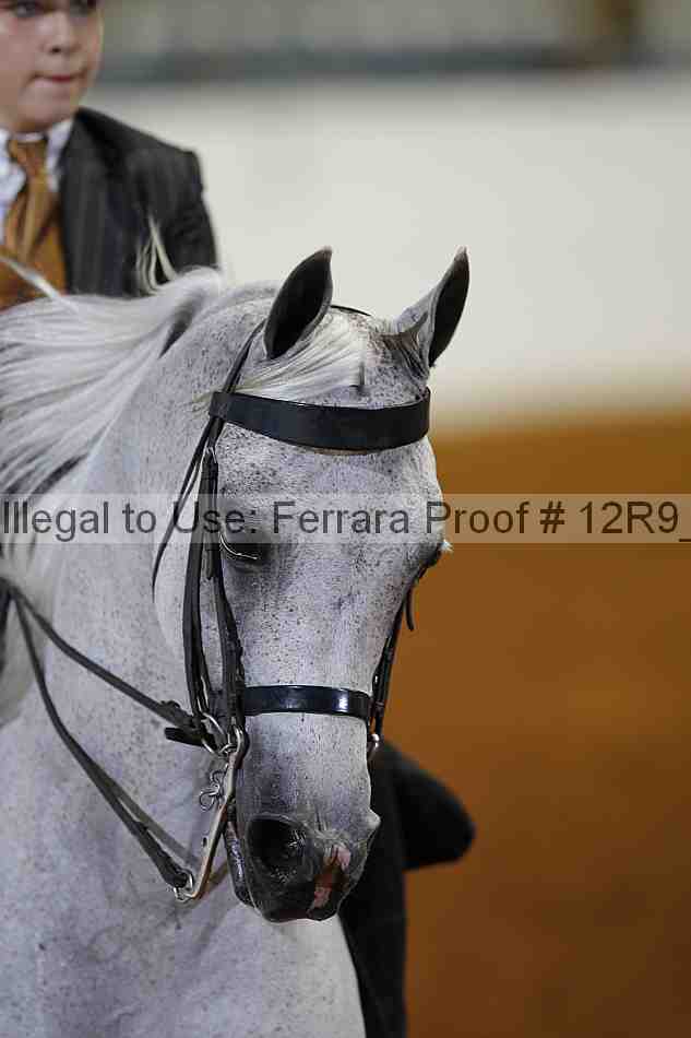 Proof 12r9_2521