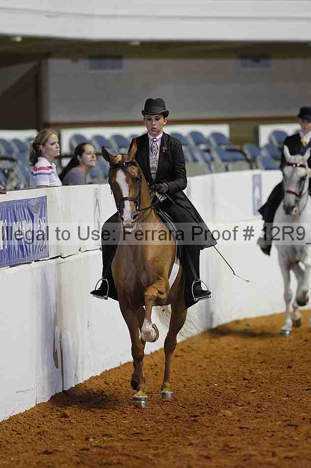 Proof 12r9_2522