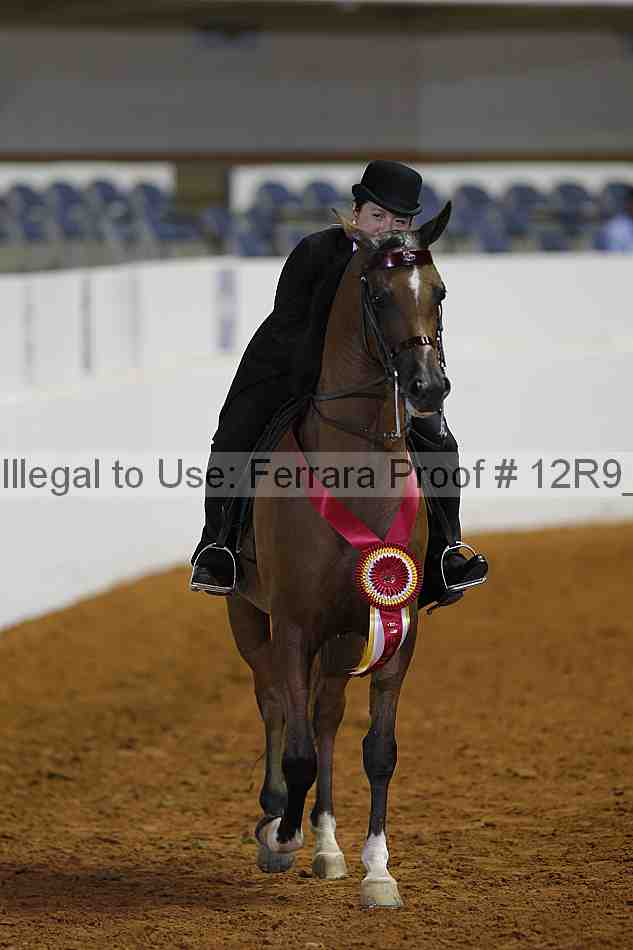 Proof 12r9_2534