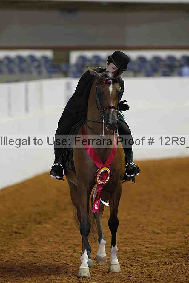 Proof 12r9_2535