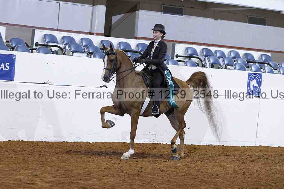 Proof 12r9_2548