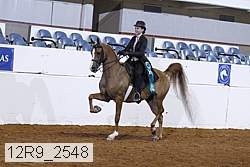 12r9_2548 proof