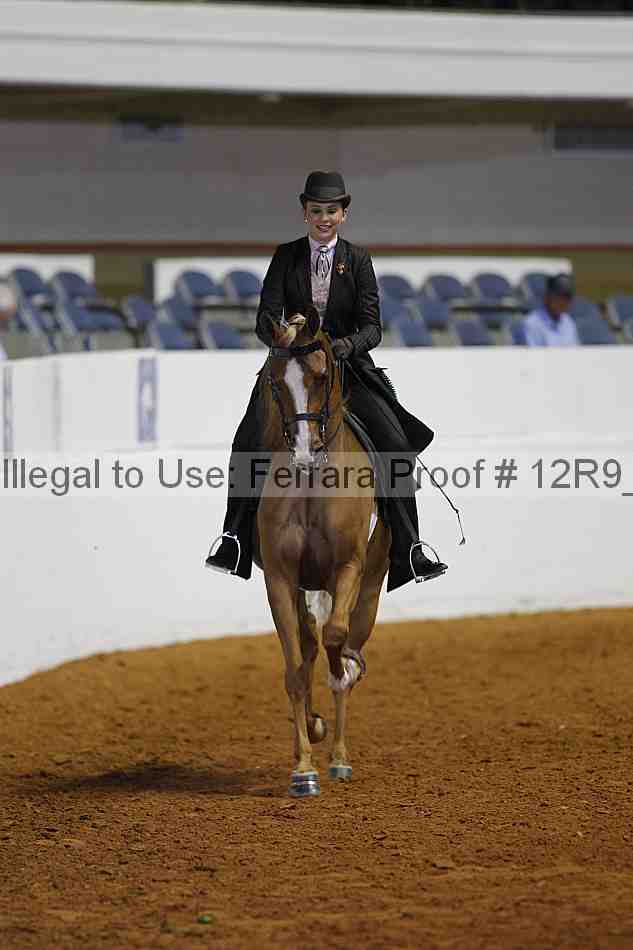Proof 12r9_2551