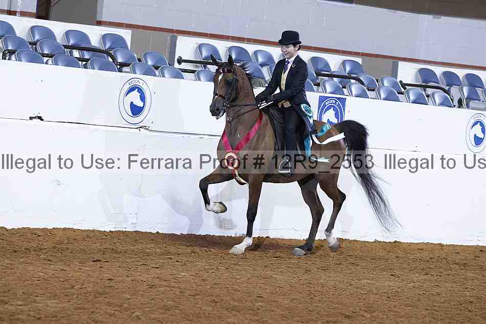 Proof 12r9_2553