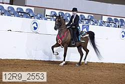 12r9_2553 proof