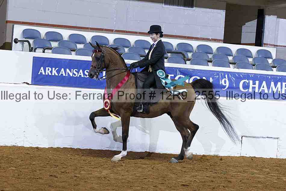 Proof 12r9_2555