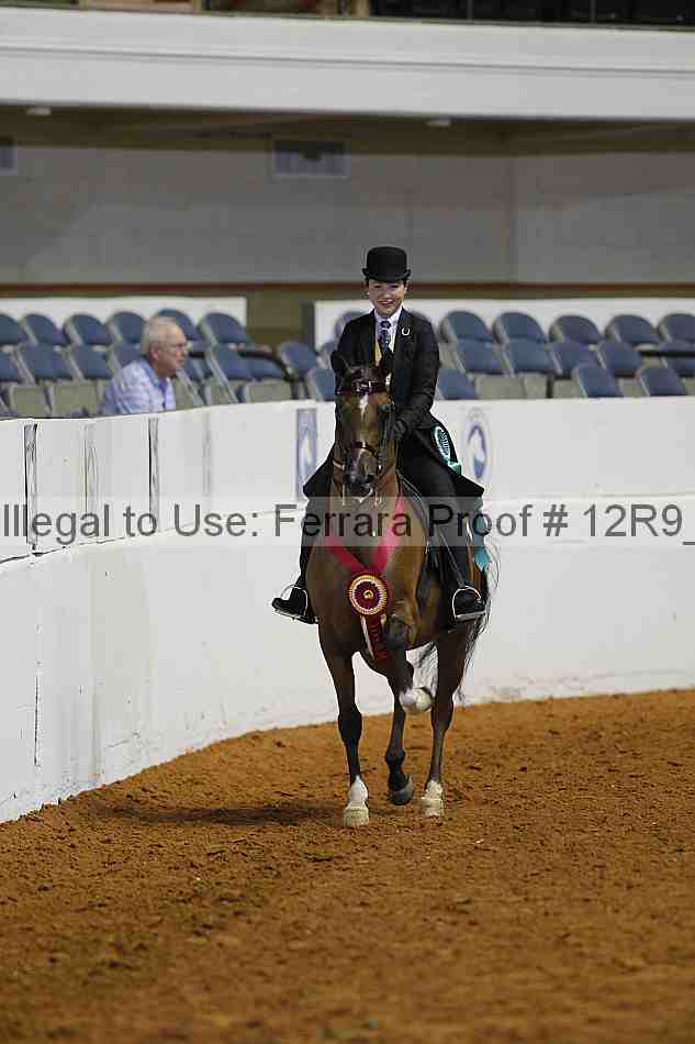 Proof 12r9_2561