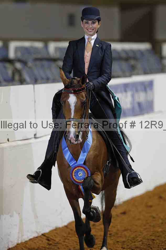 Proof 12r9_2564