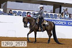 12r9_2573 proof