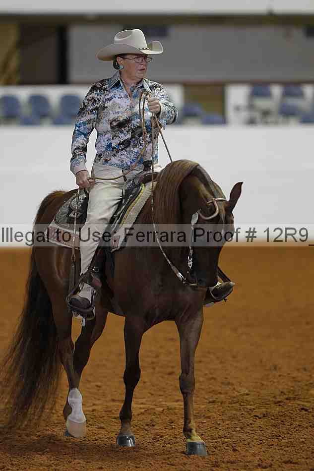 Proof 12r9_2575