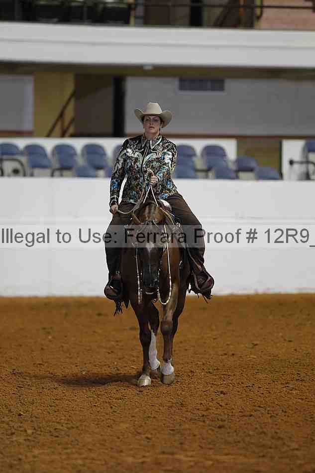 Proof 12r9_2577