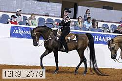 12r9_2579 proof