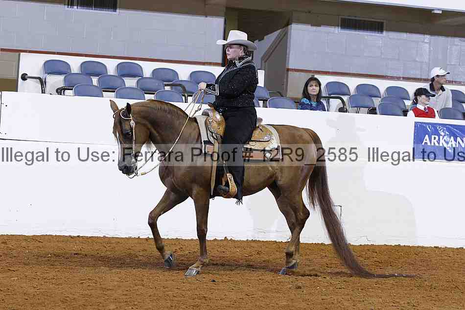 Proof 12r9_2585