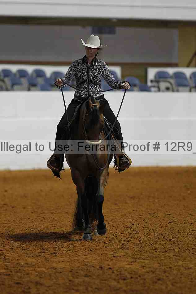 Proof 12r9_2589